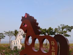 -野狸岛