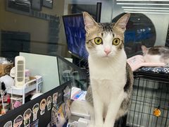 -谜盒子奇幻密室(南屏店)