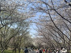 -白塘生态植物园