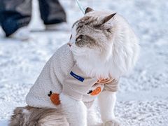 -密苑云顶乐园(云顶滑雪场)