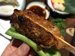 鸡肉丸-TINY
