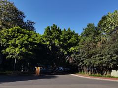 -四川大学(望江校区)