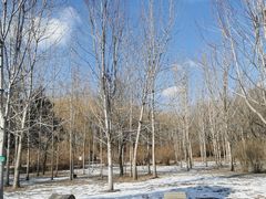 -长春公园(普阳街道)