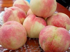 android_upload_pic-田园东方蜜桃村的田野营地