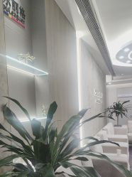 -上海首尔丽格医疗美容医院