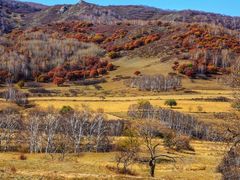 -塞罕坝国家级自然保护区