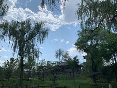 -迎泽公园