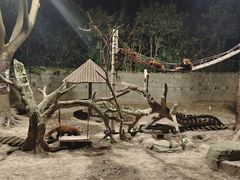 -上海野生动物园