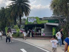 -圣淘沙天际线斜坡滑车