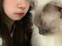 -安格丽娜·狗咖·猫咖羊驼咖(春熙路百盛商场店)