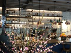 -Apollo·西班牙小酒馆(安福路店)