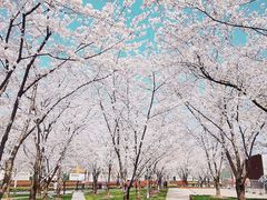 -龙美术馆西岸馆-停车场