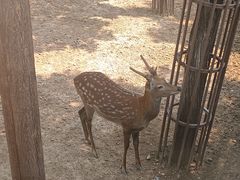 -太原动物园
