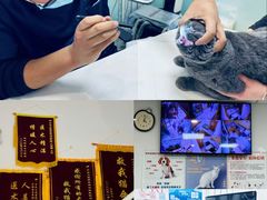 -中农大我爱我爱动物医院·核磁CT·猫病·24小时夜诊中心(石佛营店)