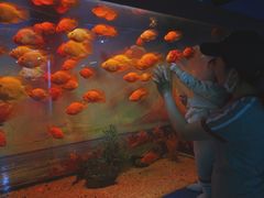 -重庆欢乐海底世界