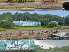 -深圳野生动物园
