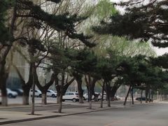 -东北大学(南湖校区)