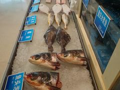 -双井轩(双井店)