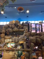 -卡通尼·Safari非洲探索乐园·生日会(金桥国际商业广场店)