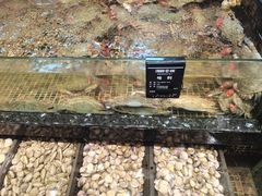 -海鲜e族(马王堆店)