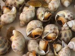 -南蚝小贝海鲜特色餐厅(南澳岛店)