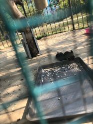 -萌宠亲子动物乐园(槐房万达店)