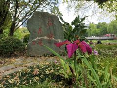 -成都市文化公园
