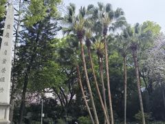 -柳侯公园