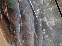 -上名堂·鱼头好吃(体育场路店)