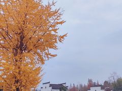 -塔川景区