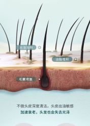 -章光101防脱养发荟