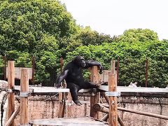 -南昌动物园