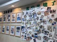 -半岛宠物医院24小时·内窥镜·牙科·碎石中心(府城大道店)