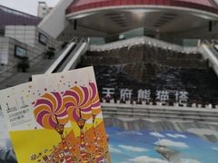 -339旋转餐厅(天府熊猫塔店)