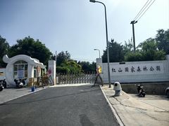 -红山国家森林公园