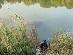 -艾溪湖湿地公园
