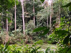 -中国科学院西双版纳热带植物园