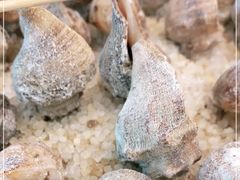 -勝記酒家·37年老字号·经典粤菜(荔枝公园店)