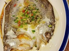 清蒸鲈鱼-丰圆轩粤式茶楼 . 点心粤菜(夏茅店)