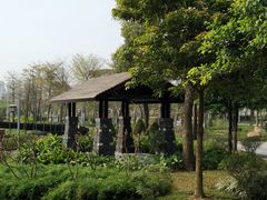 -王借岗森林公园