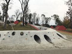 -白鹭湾湿地公园