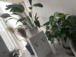 -0 SPA科技美肤·Valmont法儿曼品牌
