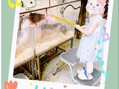 -史努比缤纷世界