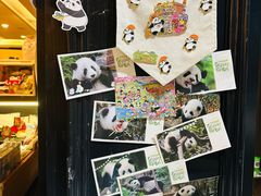 -轩客会(熊猫书店)