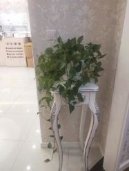 -Cocodemer女性健康·产后恢复(天一广场店)