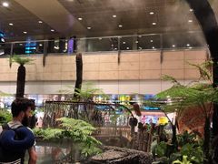 -星巴克咖啡(樟宜机场T3店)