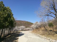 -鬼笑石后山停车场