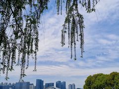 -天鹅湖体育公园
