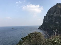-涉地可支