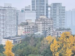 -鹅岭公园瞰胜楼